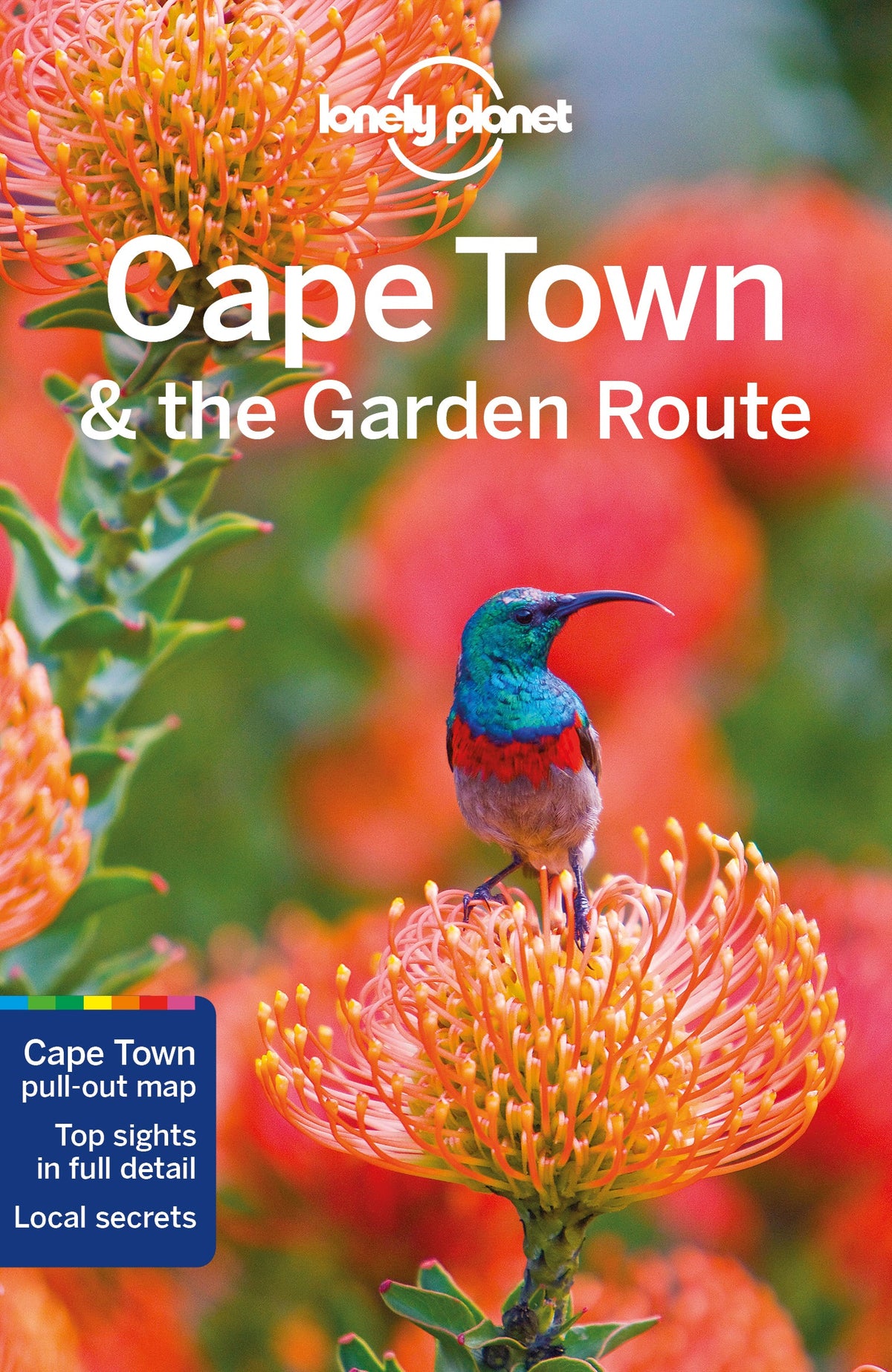 Cape Town & the Garden Route travel guide