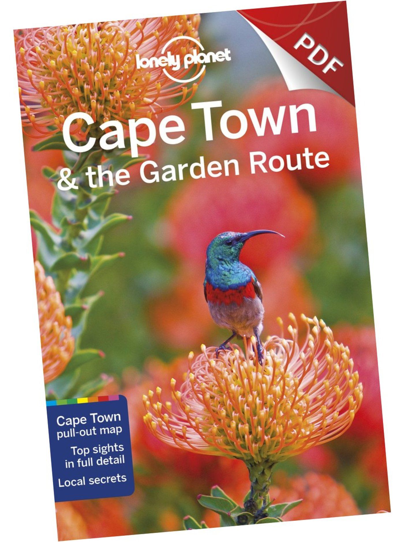 Cape Town & the Garden Route - Around Cape Town (PDF Chapter)