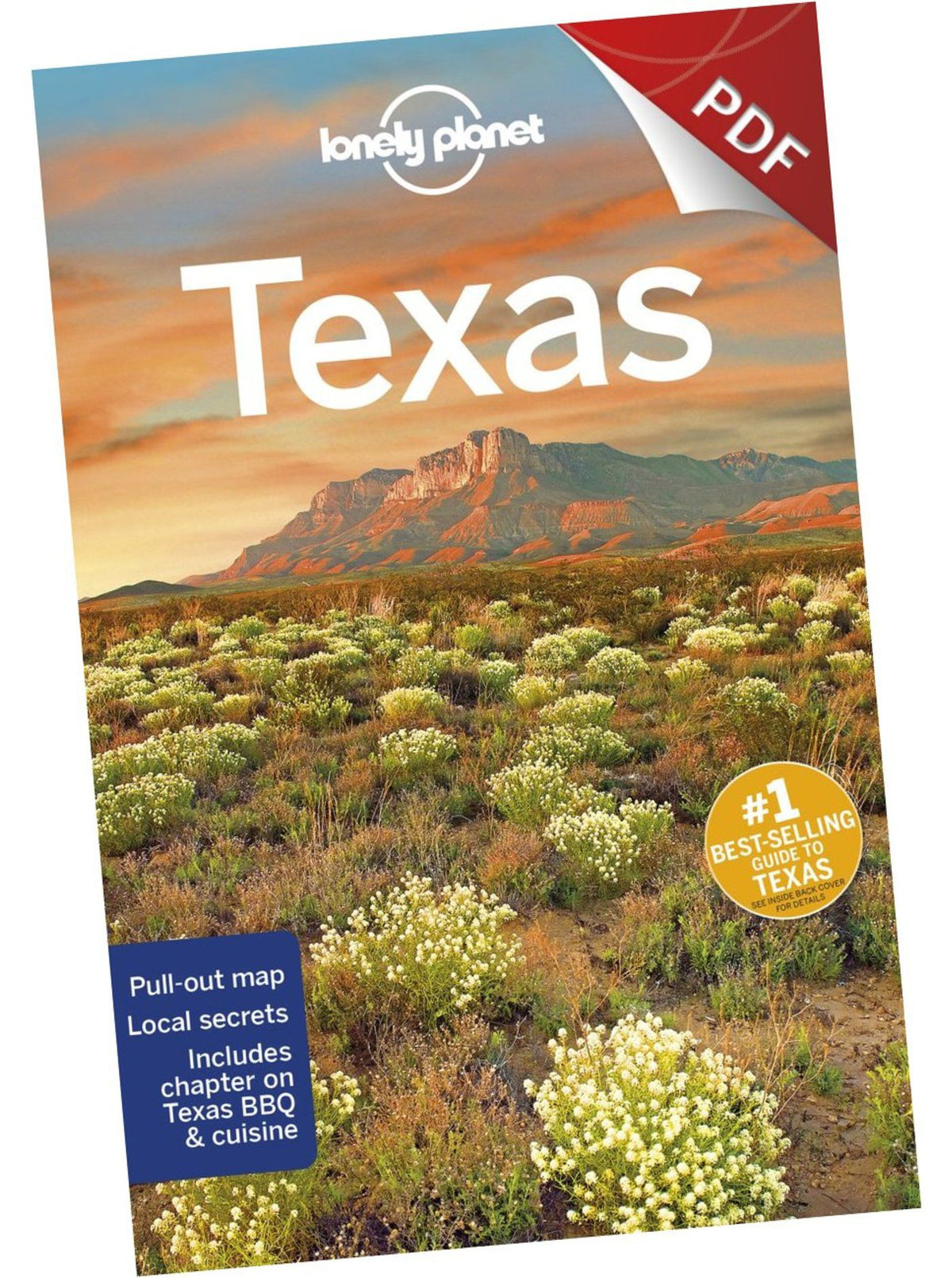 Texas - Understand Texas and Survival Guide (PDF Chapter)