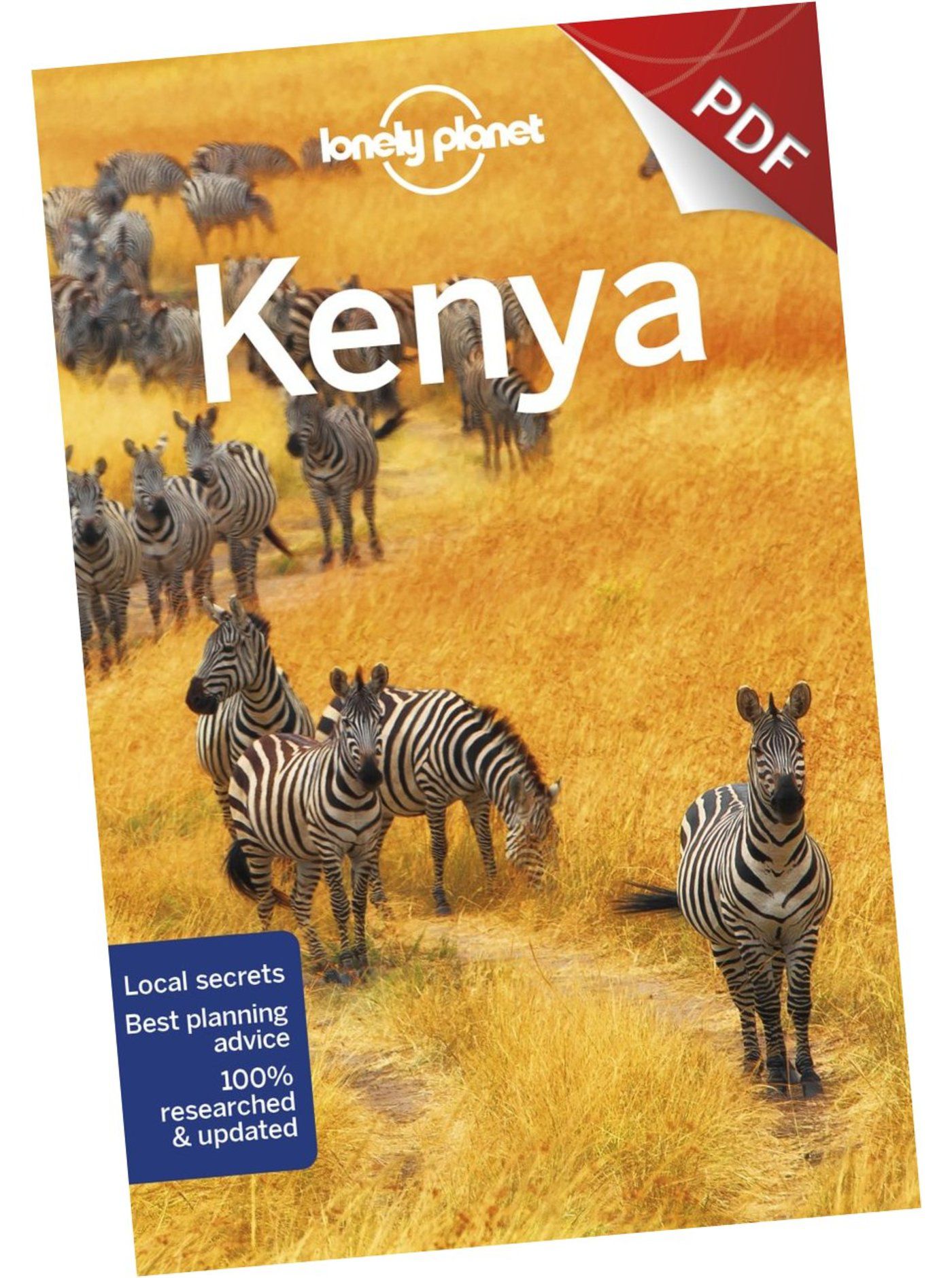 Kenya - Understand Kenya and Survival Guide (PDF Chapter)