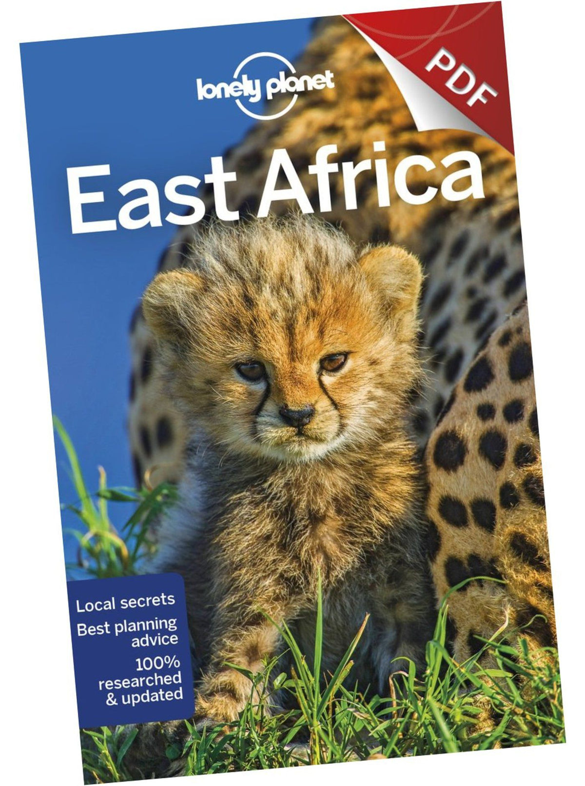 East Africa - Plan your trip (PDF Chapter)