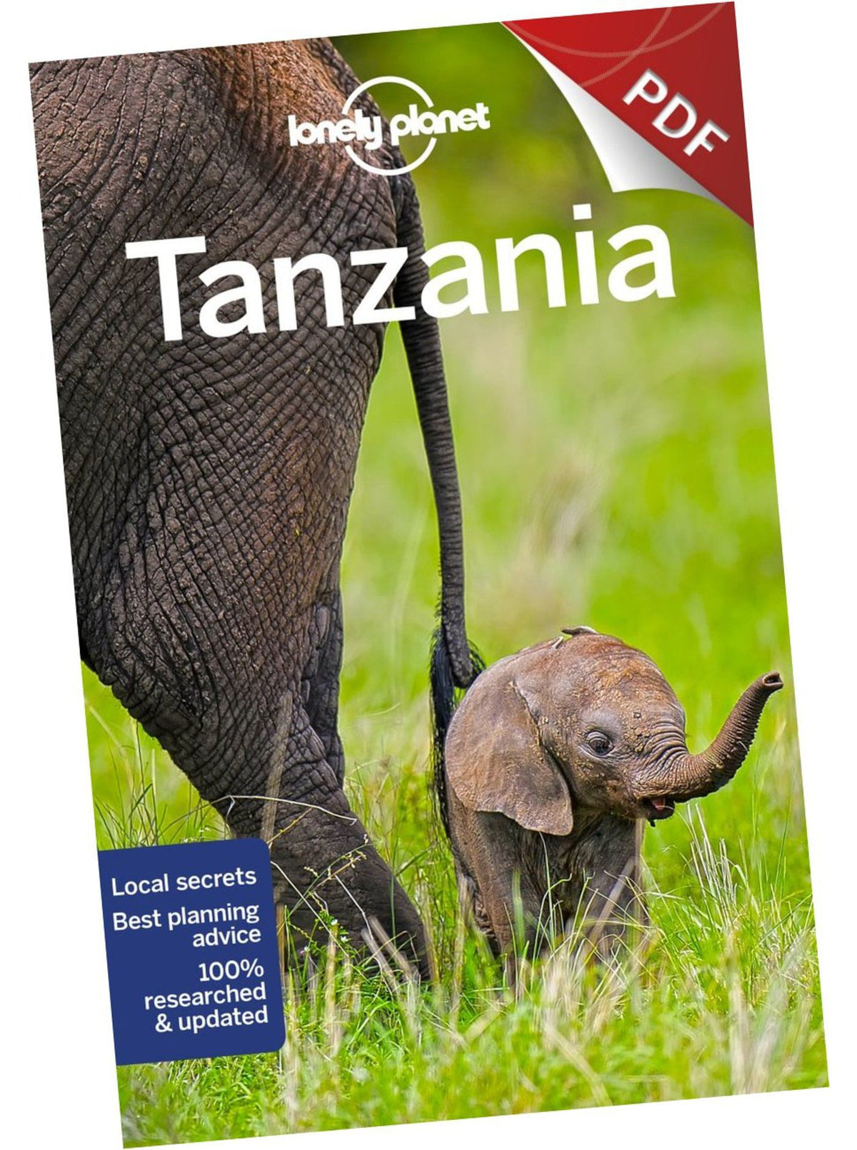 Tanzania - Southern Highlands (PDF Chapter)