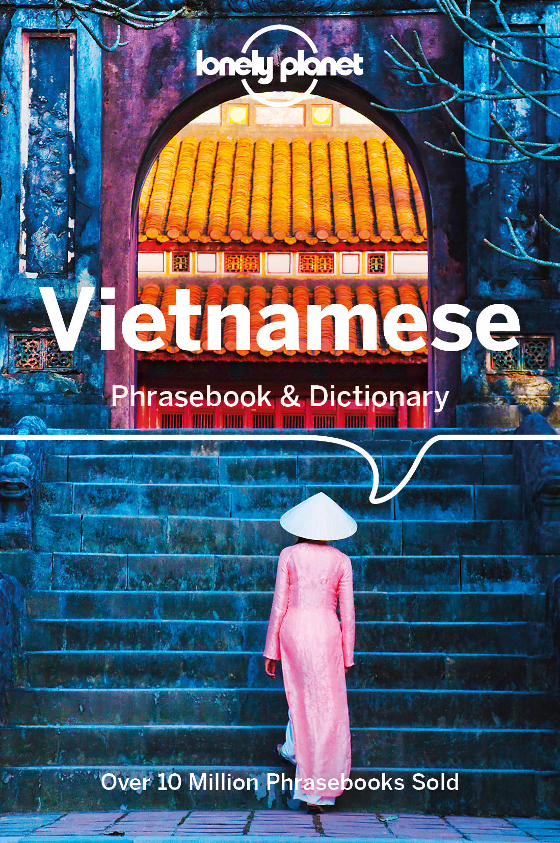 Vietnamese Phrasebook & Dictionary